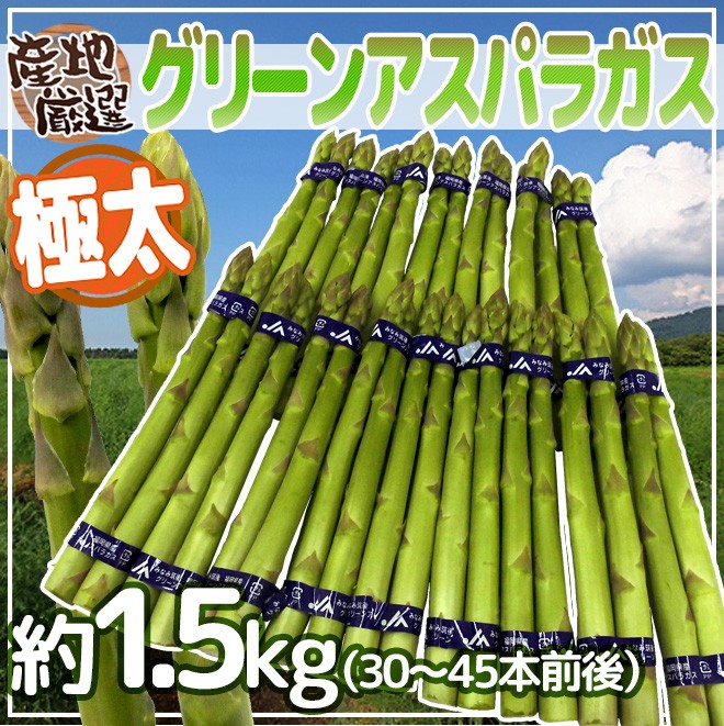 新しい到着 極太グリーンアスパラガス” 30〜45本前後 約1.5kg 北海道/長野 野菜