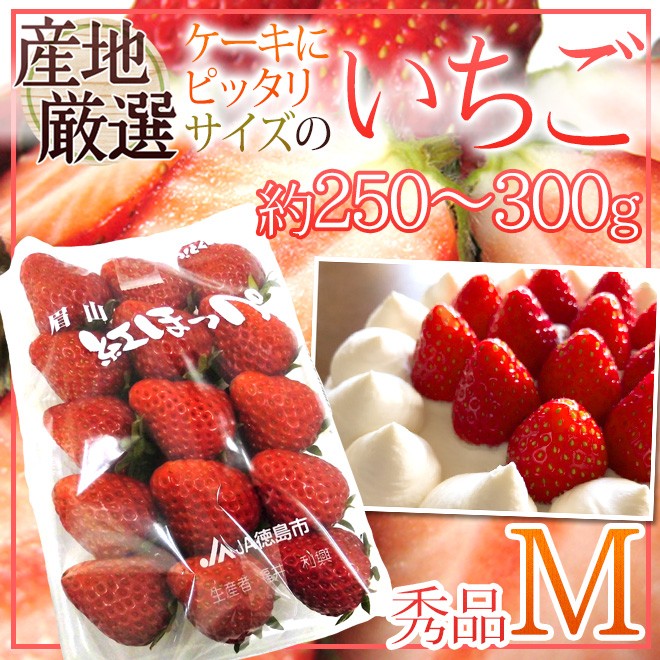 ケーキにピッタリサイズの ”いちご” Mサイズ 約250〜300g 1パック 産地