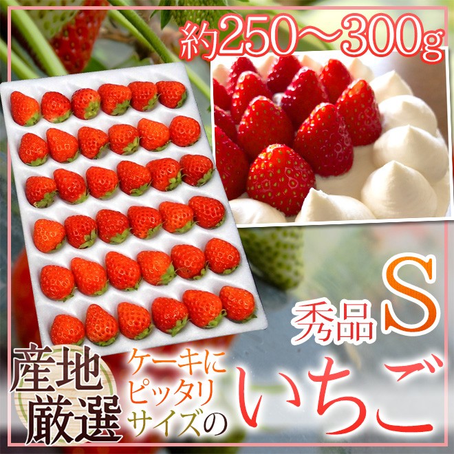 ケーキにピッタリサイズの ”いちご” Sサイズ 約250〜300g 1パック 産地