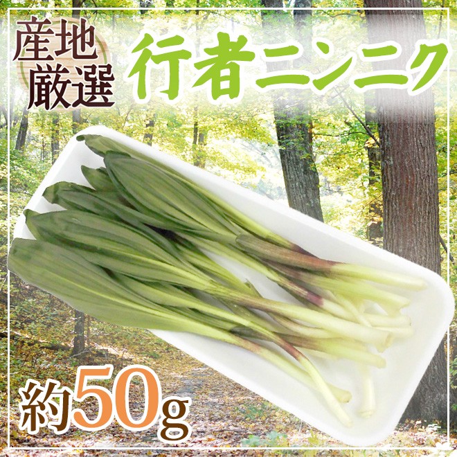 行者ニンニク（ぎょうじゃにんにく）” 約50g 大きさおまかせ 山菜 