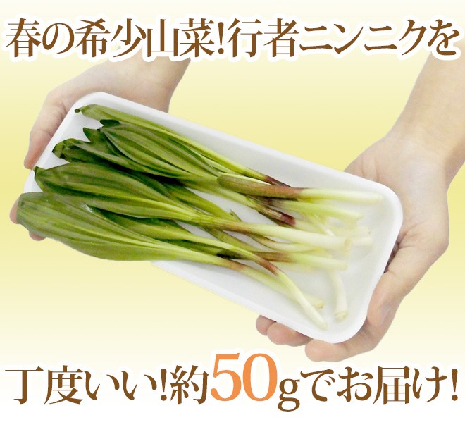 行者ニンニク（ぎょうじゃにんにく）” 約50g 大きさおまかせ 山菜