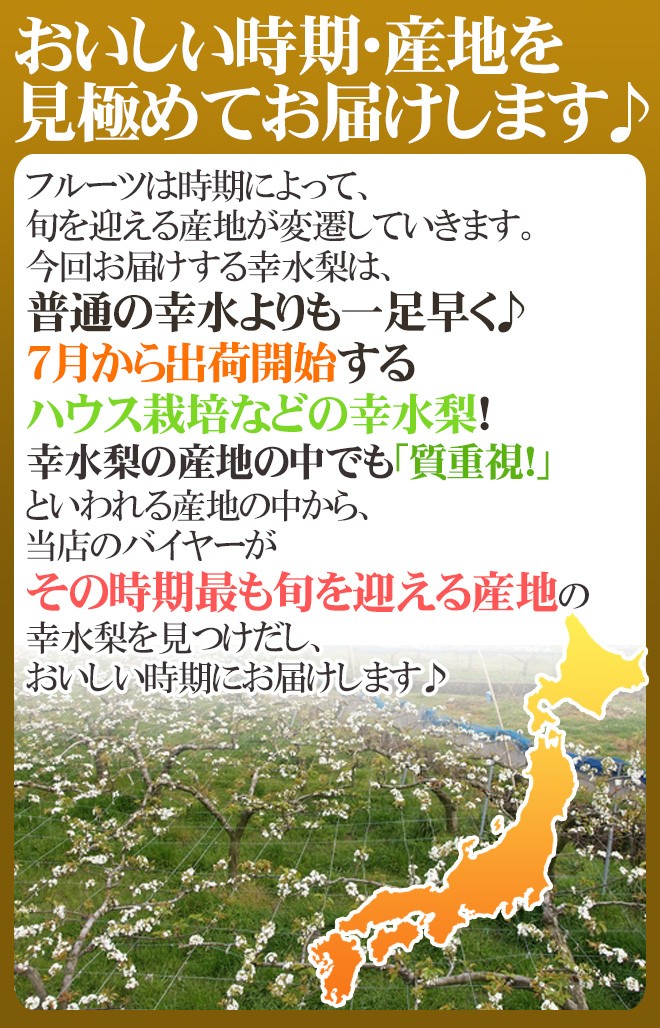 マスターソムリエ高野豊がお奨めする生ハムです パンチェッタ短冊 ×10袋セット ランキング上位のプレゼント