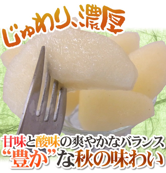 豊水梨” 秀品 超大玉5L〜6L 8〜10玉 約5kg 化粧箱 産地厳選【予約 8月