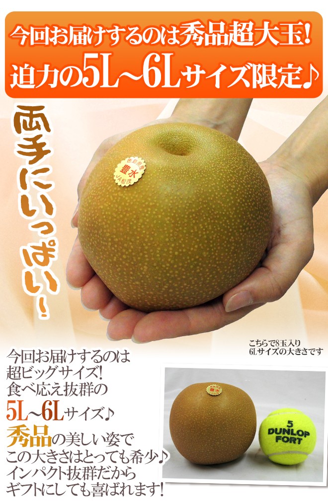 豊水梨” 秀品 超大玉5L〜6L 8〜10玉 約5kg 化粧箱 産地厳選【予約 8月