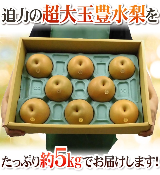 【茨城県産】旬の梨 秀品 10kg 5L以上 大玉 豊水梨” 秀品 超大玉5L〜6L 8〜10玉 約5kg 化粧箱 産地厳選【予約 8月