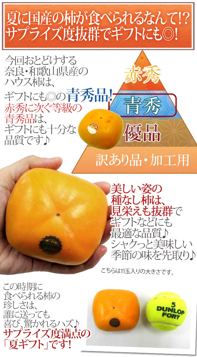 奈良・和歌山産 ”ハウスたねなし柿” 青秀品 8〜12玉前後 約2kg 化粧箱