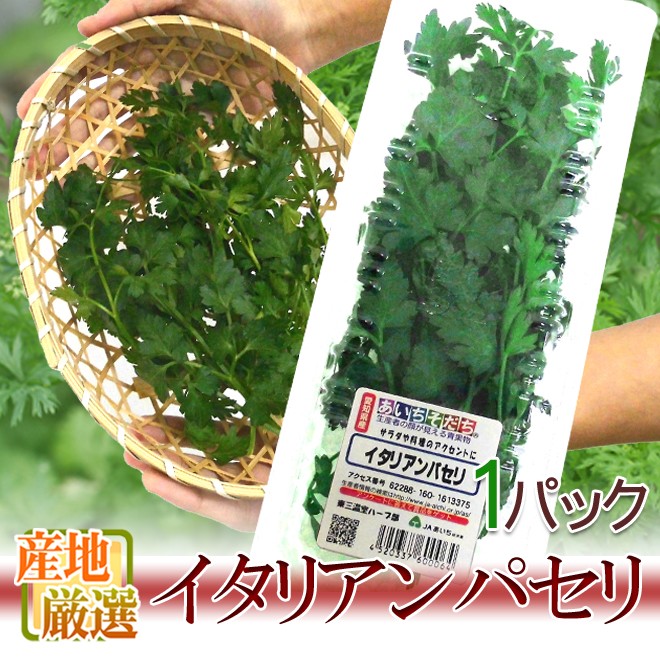 産地厳選 ”イタリアンパセリ” パック入り 1pc : くらし快援隊 - 通販