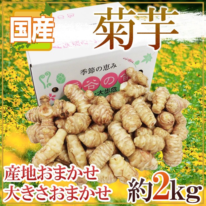 048-kikuimo2kg02.jpg
