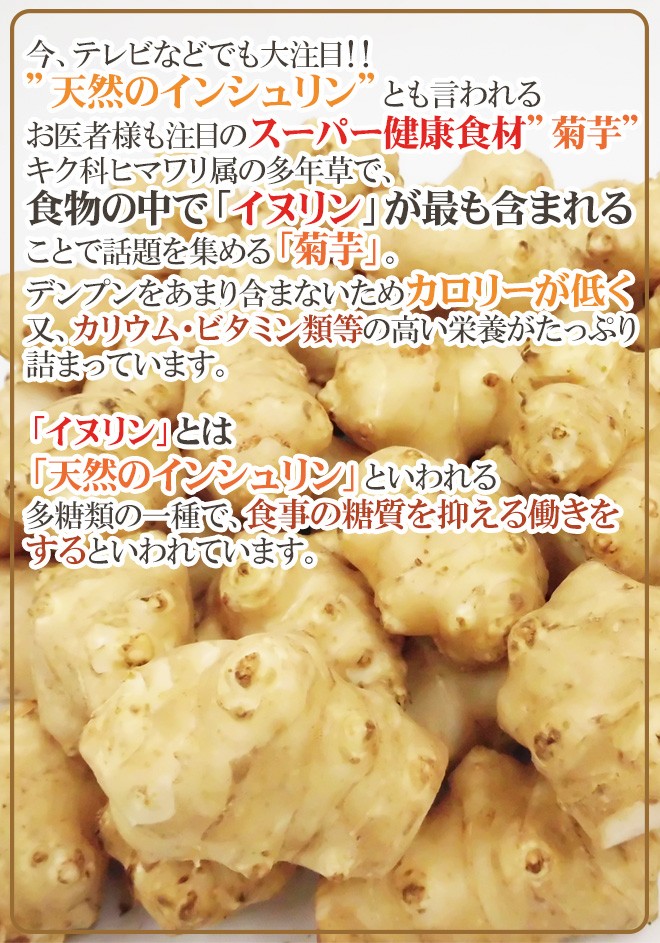 菊芋” 約2kg 大きさおまかせ 産地厳選 キクイモ【予約 11月以降】 送料