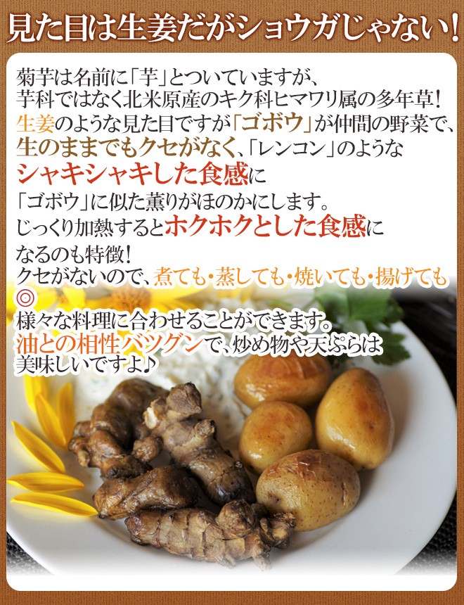 菊芋” 約2kg 大きさおまかせ 産地厳選 キクイモ【予約 11月以降】 送料