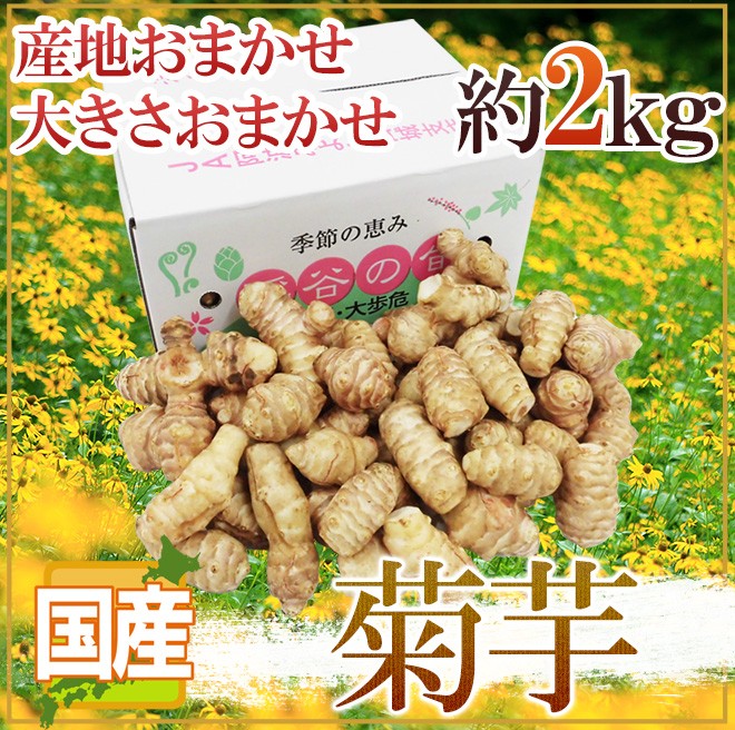 菊芋” 約2kg 大きさおまかせ 産地厳選 キクイモ【予約 11月以降】 送料