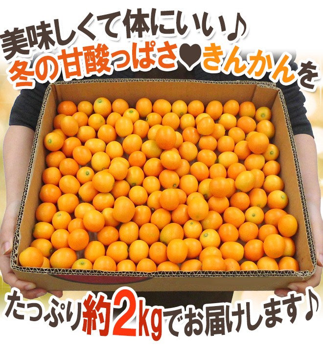 宮崎・鹿児島県 ”きんかん” 秀品 M/L 約2kg 金柑【予約 11月下旬以降