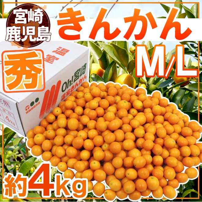 048-kinml4kg02.jpg