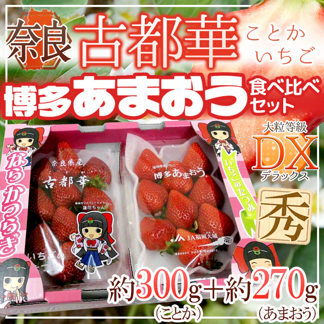 奈良・福岡県産 ”博多あまおう＋古都華いちご 食べ比べセット” 2pc【予約 12月以降】 送料無料  :2014048-kotoama600g:くらし快援隊 - 通販 - Yahoo!ショッピング