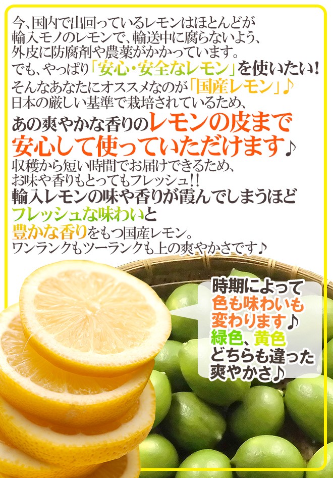 ”国産レモン” 約1kg 6〜8玉前後 M〜L 産地厳選【予約 入荷次第発送】 送料無料