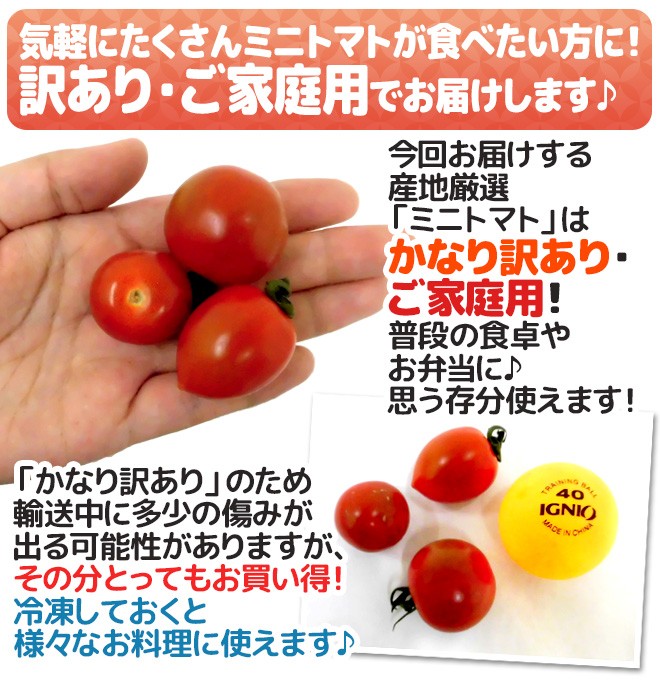 ”ミニトマト” かなり訳あり 約3kg 大きさおまかせ プチトマト 茨城産 熊本産 北海道産など産地厳選