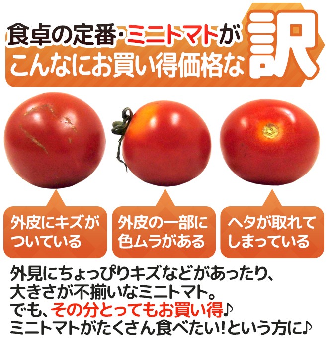 産地厳選 ”ミニトマト” 訳あり 約3kg 大きさおまかせ プチトマト 茨城産/熊本産/北海道産など【予約 入荷次第発送】 送料無料  :1006048-mini3kgw:くらし快援隊 - 通販 - Yahoo!ショッピング