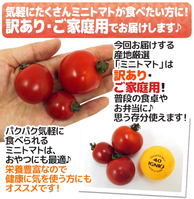 産地厳選 ”ミニトマト” 訳あり 約3kg 大きさおまかせ プチトマト 茨城産/熊本産/北海道産など【予約 入荷次第発送】 送料無料 :  1006048-mini3kgw : くらし快援隊 - 通販 - Yahoo!ショッピング