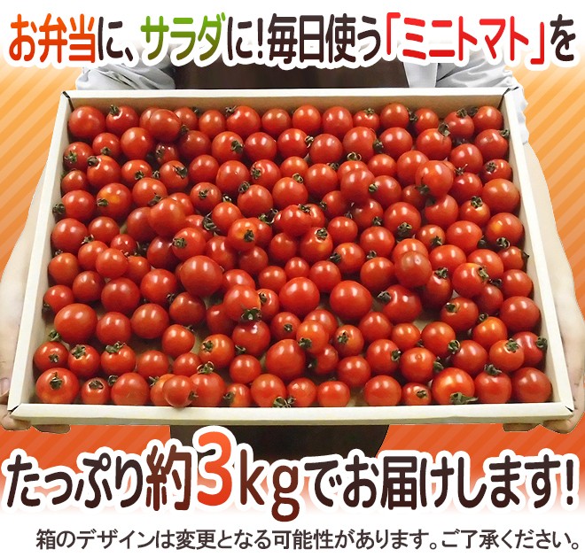 産地厳選 ”ミニトマト” 訳あり 約3kg 大きさおまかせ プチトマト 茨城産/熊本産/北海道産など【予約 入荷次第発送】 送料無料 :  1006048-mini3kgw : くらし快援隊 - 通販 - Yahoo!ショッピング