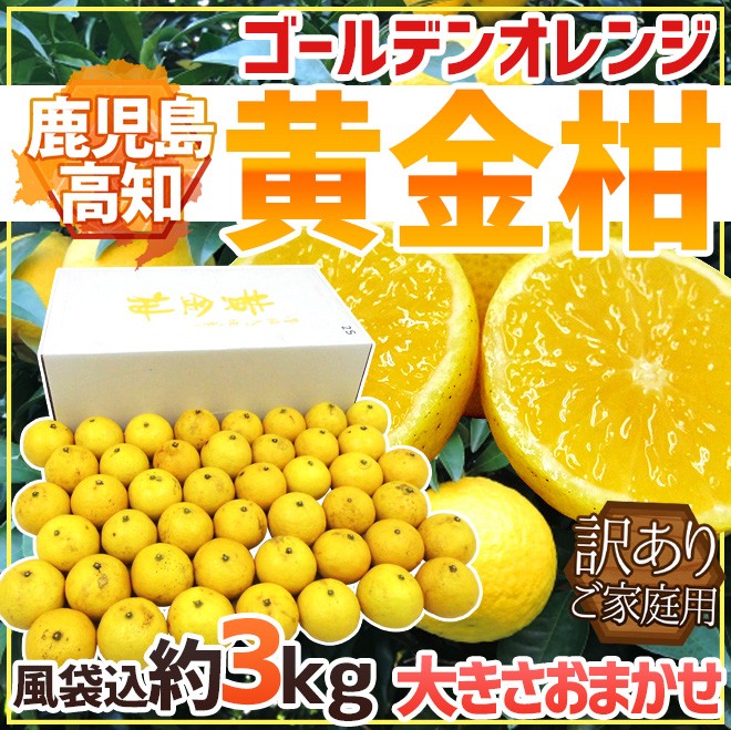 鹿児島・高知産 ”黄金柑” 訳あり 約3kg 大きさおまかせ【予約 3月下旬