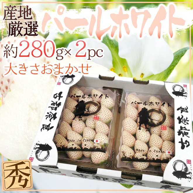 白いちご パールホワイト” 2pc （1pcあたり約280g） 産地厳選【予約 12