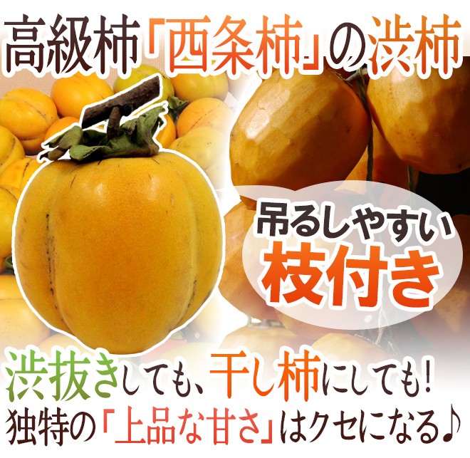 島根・鳥取・岡山産 干し柿・吊るし柿用 ”西条柿 渋柿” 約1kg 大きさおまかせ【予約 10月下旬以降】  :2019048-saijo-sb1kg:くらし快援隊 - 通販 - Yahoo!ショッピング