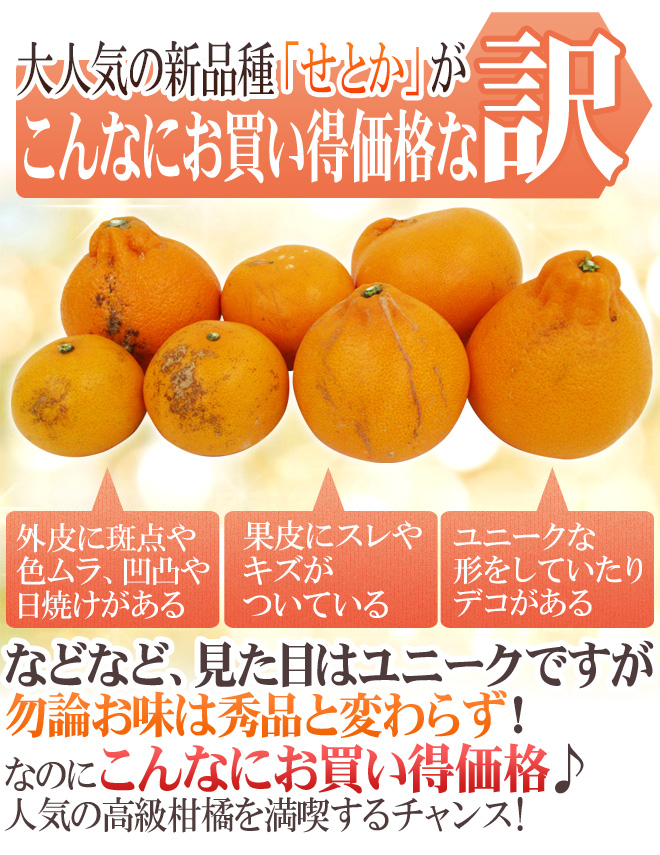 佐賀・愛媛・和歌山産 ”せとか” 訳あり 約10kg 大きさおまかせ【予約 1