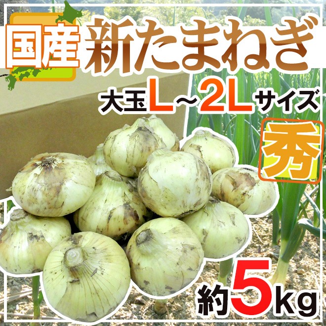 北海道 北見F1 8月末以降 ”たまねぎ” 予約 大玉L～LLサイズ 玉葱 秀品 約20kg 送料無料 新しいコレクション ”たまねぎ”