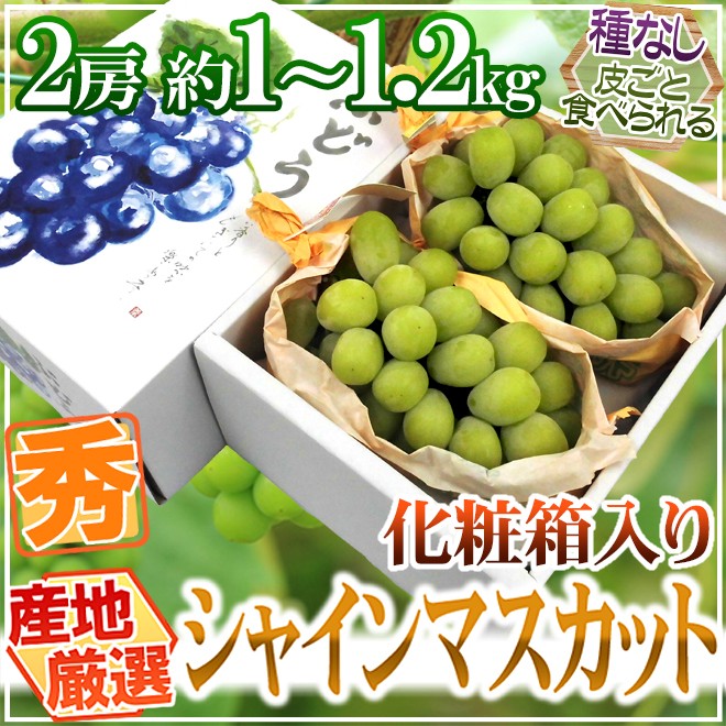 シャインマスカット” 秀品 大房限定 2房 約1〜1.2kg 化粧箱入り 産地