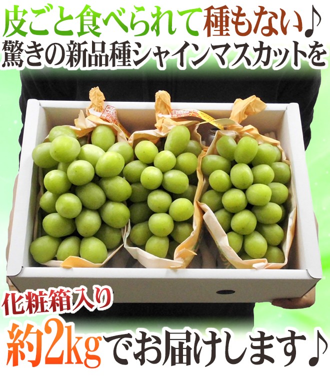 シャインマスカット” 秀品 3〜5房 約2kg 化粧箱 産地厳選【予約
