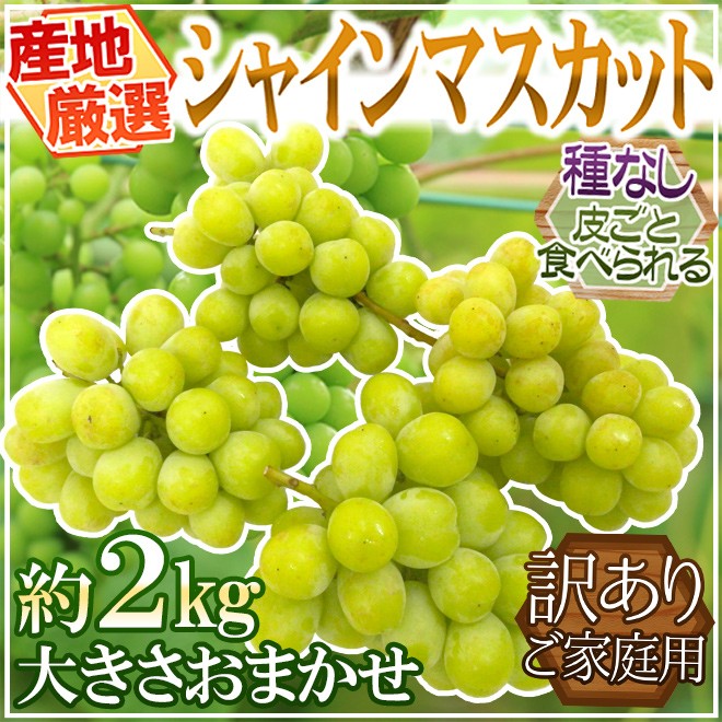 シャインマスカット” 訳あり 約2kg 大きさおまかせ 産地厳選【予約 8月