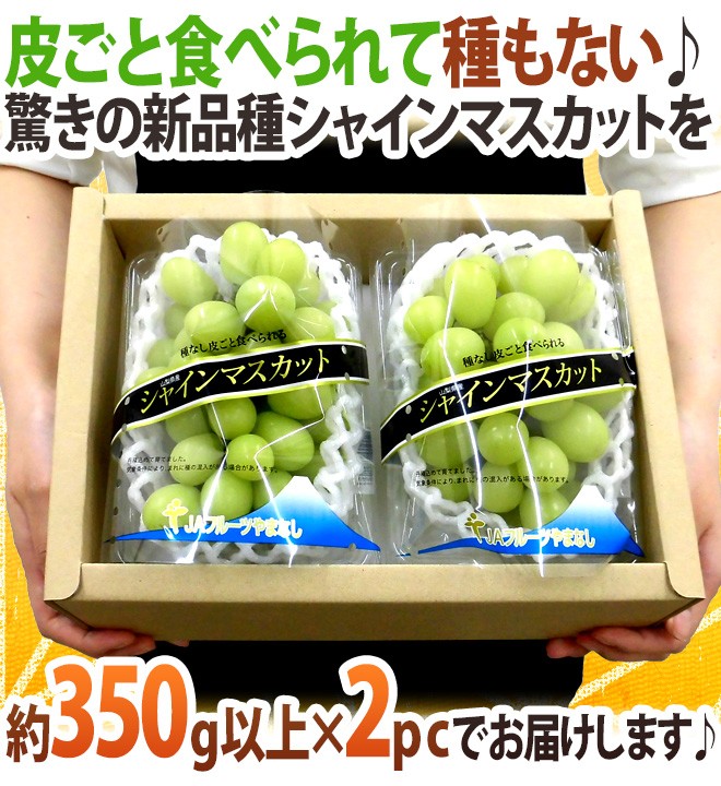 温室シャインマスカット” 秀品 約350g以上×《2pc》 化粧箱入り 産地