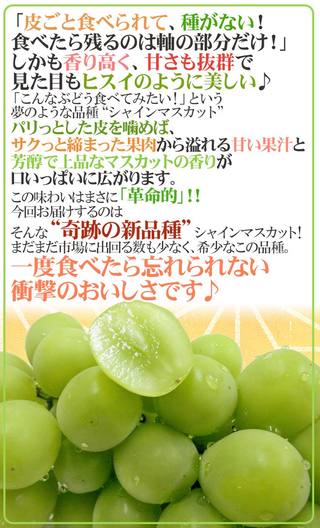 早期発送！プレミアム ”温室シャインマスカット” 秀品 約5kg