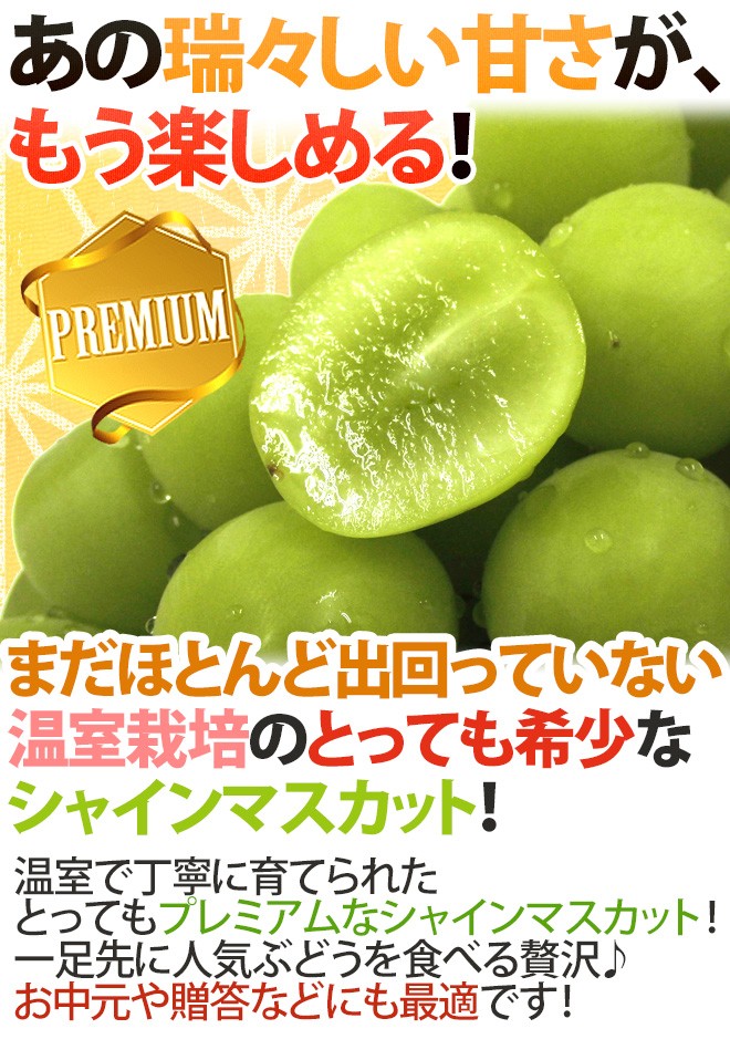 【即発送可】プレミアム ”温室シャインマスカット” 秀品 【5kg】山梨県産 早期発送！プレミアム ”温室シャインマスカット” 秀品 約5kg