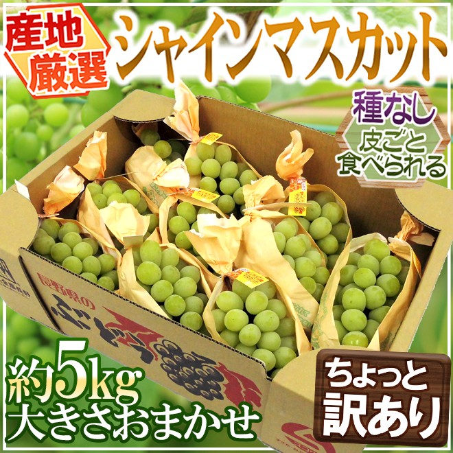 シャインマスカット” ちょっと訳あり 約5kg 大きさおまかせ 産地厳選【予約 8月下旬以降】 送料無料 : 2020048-shine5kgw :  くらし快援隊 - 通販 - Yahoo!ショッピング