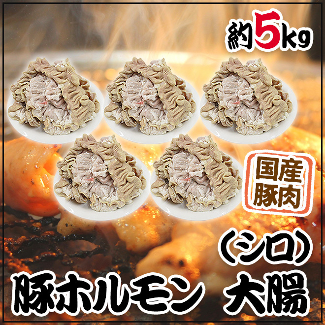 国産豚しろ（大腸）　３００ｇ