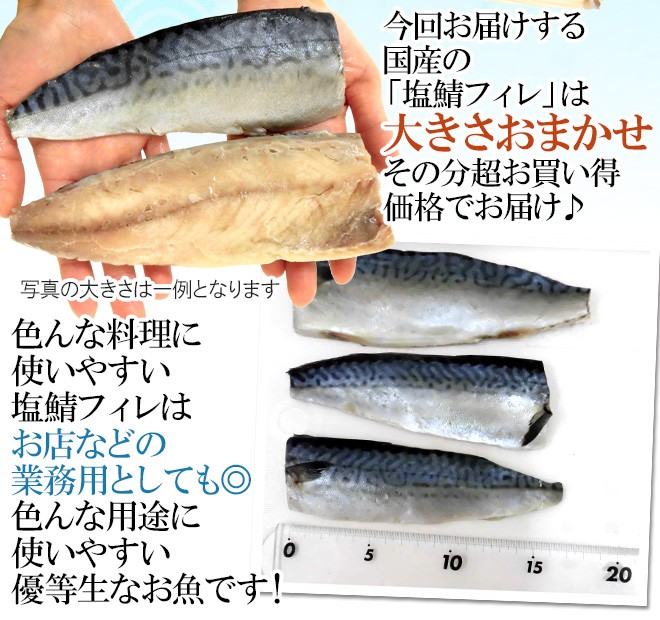 国産 ”塩鯖フィレ” 訳あり 約10kg 大きさおまかせ 三枚おろし サバ 送料無料 : 4022012-ssaba-f10kgw : くらし快援隊  - 通販 - Yahoo!ショッピング