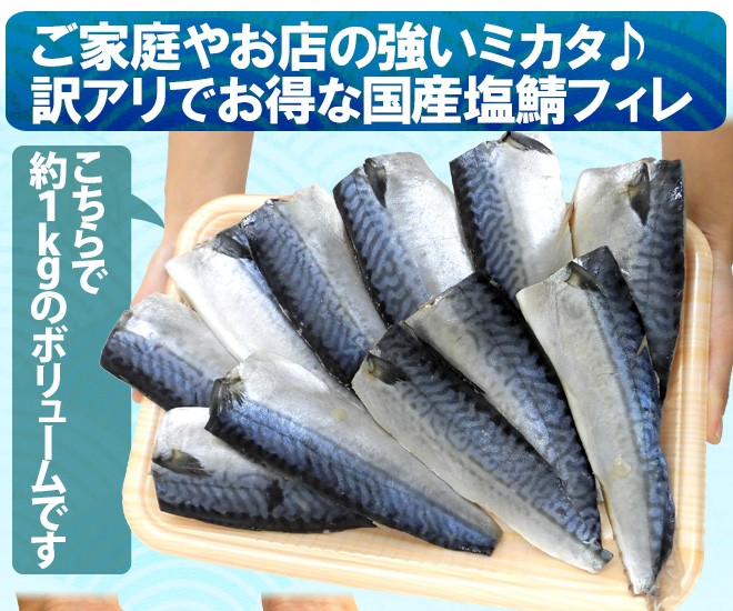 国産 ”塩鯖フィレ” 訳あり 約5kg 大きさおまかせ 三枚おろし サバ 送料