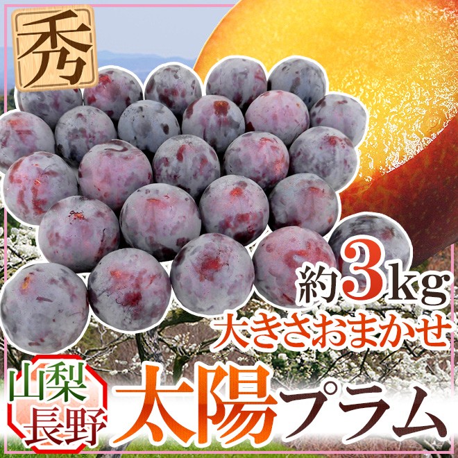 最大94%OFFクーポン 山梨 長野産 ”太陽プラム” 秀品 約3kg 大きさおまかせ すもも 送料無料