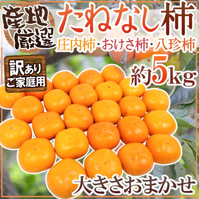訳あり たねなし柿  約5kg  和歌山県産 柿
