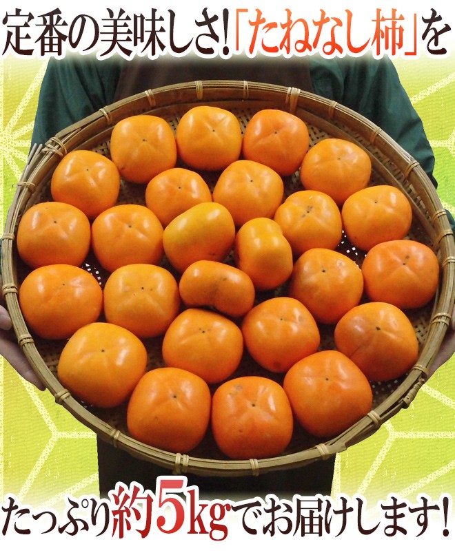 訳あり たねなし柿  約5kg  和歌山県産 柿