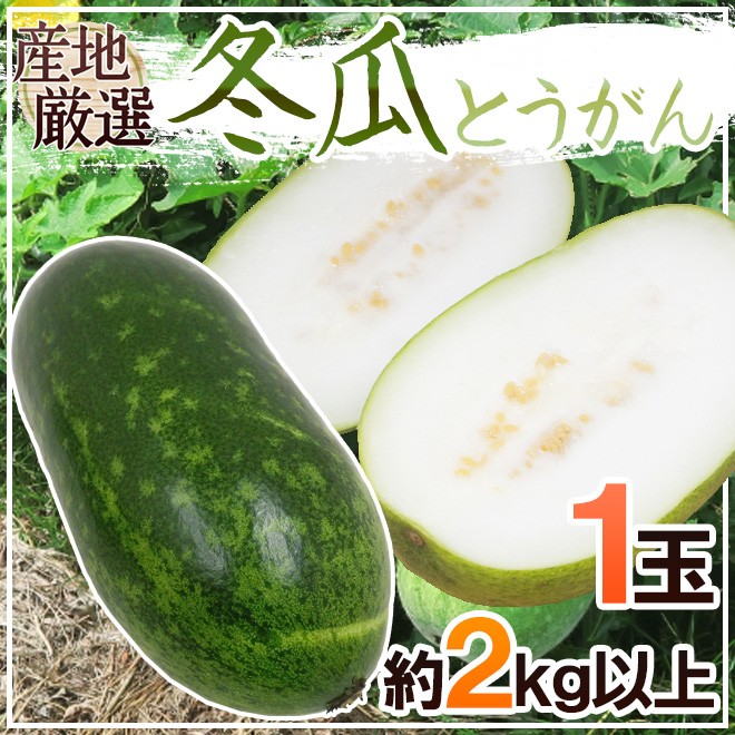 沖縄県産野菜 ニガナ 約500g 【発送 年中ですが、お待たせする場合有】 【スムージーに最適】 SsxxVCVHtZ, 食品 -  esquelles.org