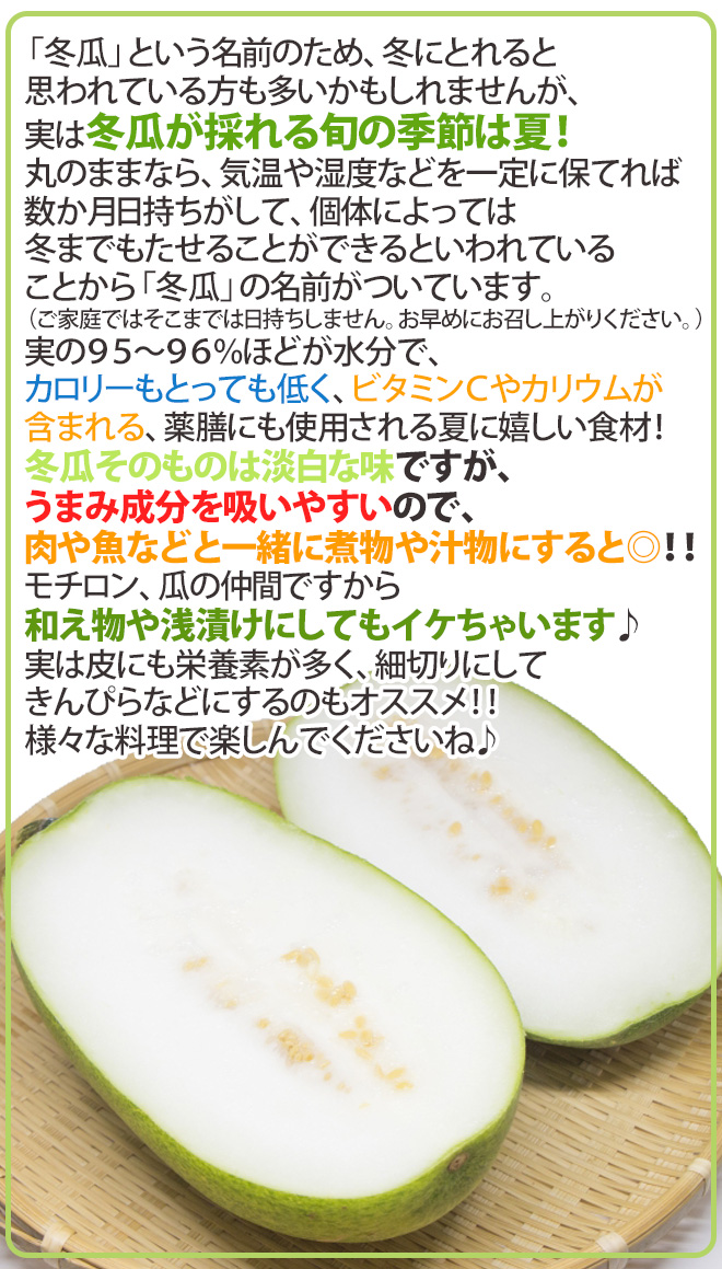 沖縄県産野菜 ニガナ 約500g 【発送 年中ですが、お待たせする場合有】 【スムージーに最適】 SsxxVCVHtZ, 食品 -  esquelles.org