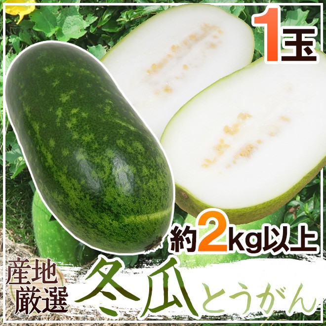 沖縄県産野菜 ニガナ 約500g 【発送 年中ですが、お待たせする場合有】 【スムージーに最適】 SsxxVCVHtZ, 食品 -  esquelles.org