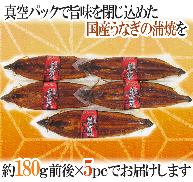 土用の丑の日 5枚入1尾約 250g極上うなぎ蒲焼 1枚ずつ真空パック