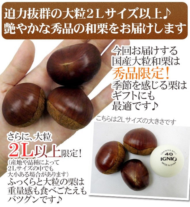 国産和栗” 秀品 大粒2Lサイズ以上 約5kg 産地厳選 生栗【予約 9月下旬以降】 送料無料 :2027048-waguri2l5kg:くらし快援隊  - 通販 - Yahoo!ショッピング