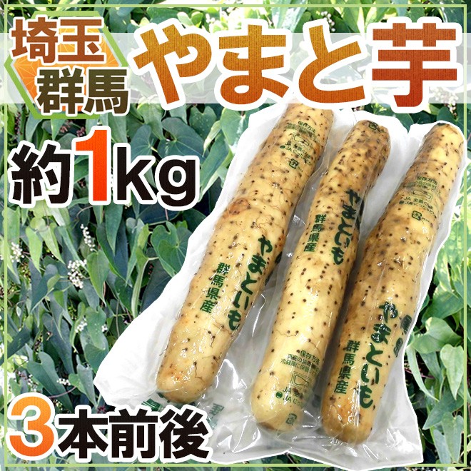 群馬・埼玉 ”やまと芋” 約1kg 3本前後 やまといも/山芋/長芋 送料無料