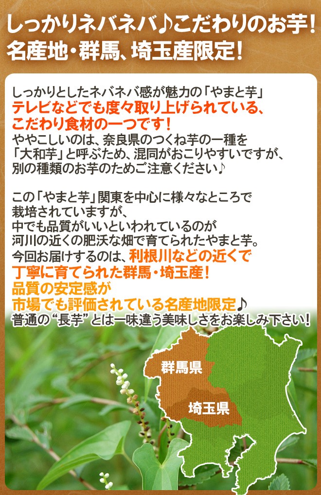 群馬・埼玉 ”やまと芋” 約1kg 3本前後 やまといも/山芋/長芋 送料無料 :1049048-yamatoimo1kg:くらし快援隊 - 通販 -  Yahoo!ショッピング