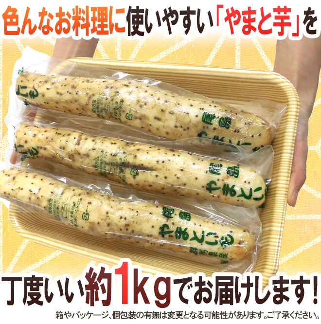 群馬・埼玉 ”やまと芋” 約1kg 3本前後 やまといも/山芋/長芋 送料無料 :1049048-yamatoimo1kg:くらし快援隊 - 通販 -  Yahoo!ショッピング