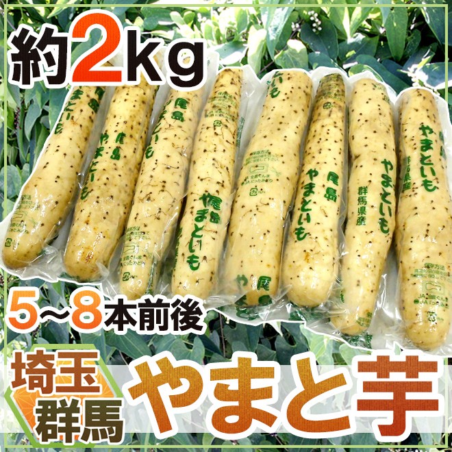 群馬・埼玉 ”やまと芋” 約2kg 5〜8本前後 やまといも/山芋/長芋 送料